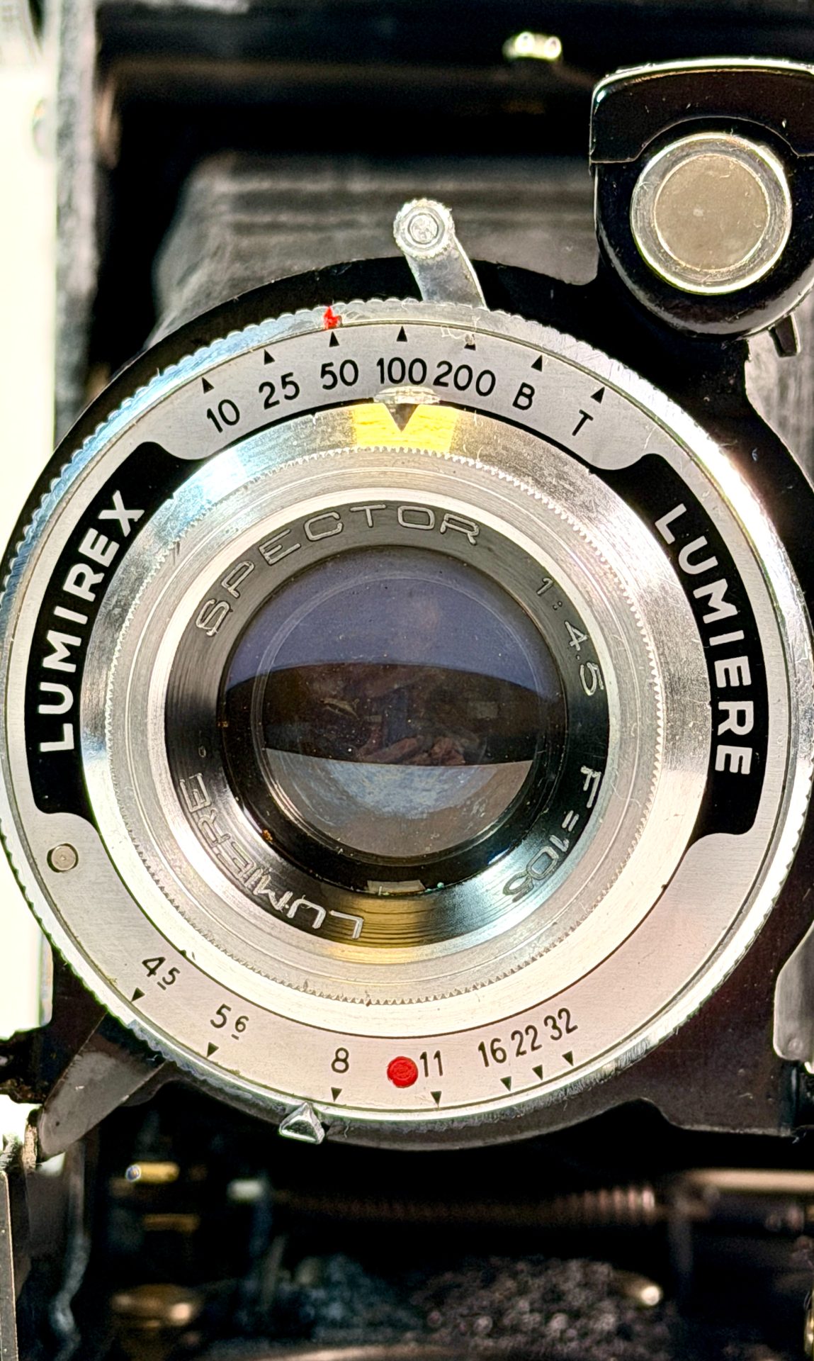 LUMIERE, LUMIREX vista 2