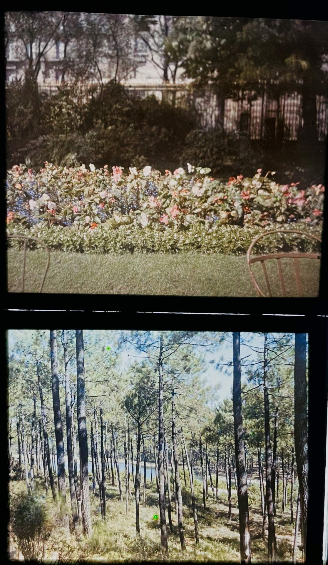 Placas Autochrome vista 2