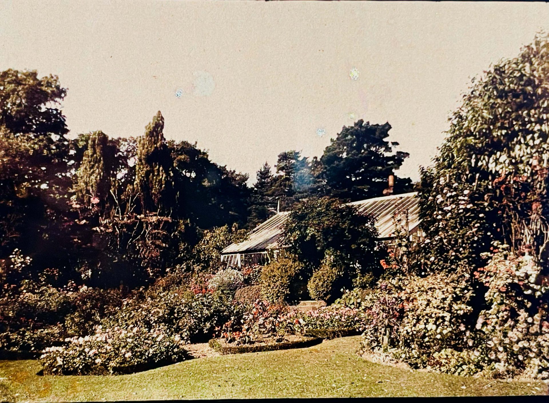 Placas Autochrome vista 3