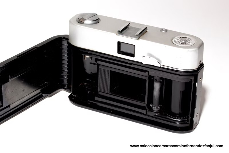 CERTEX, WERLISA COLOR "B" vista 4