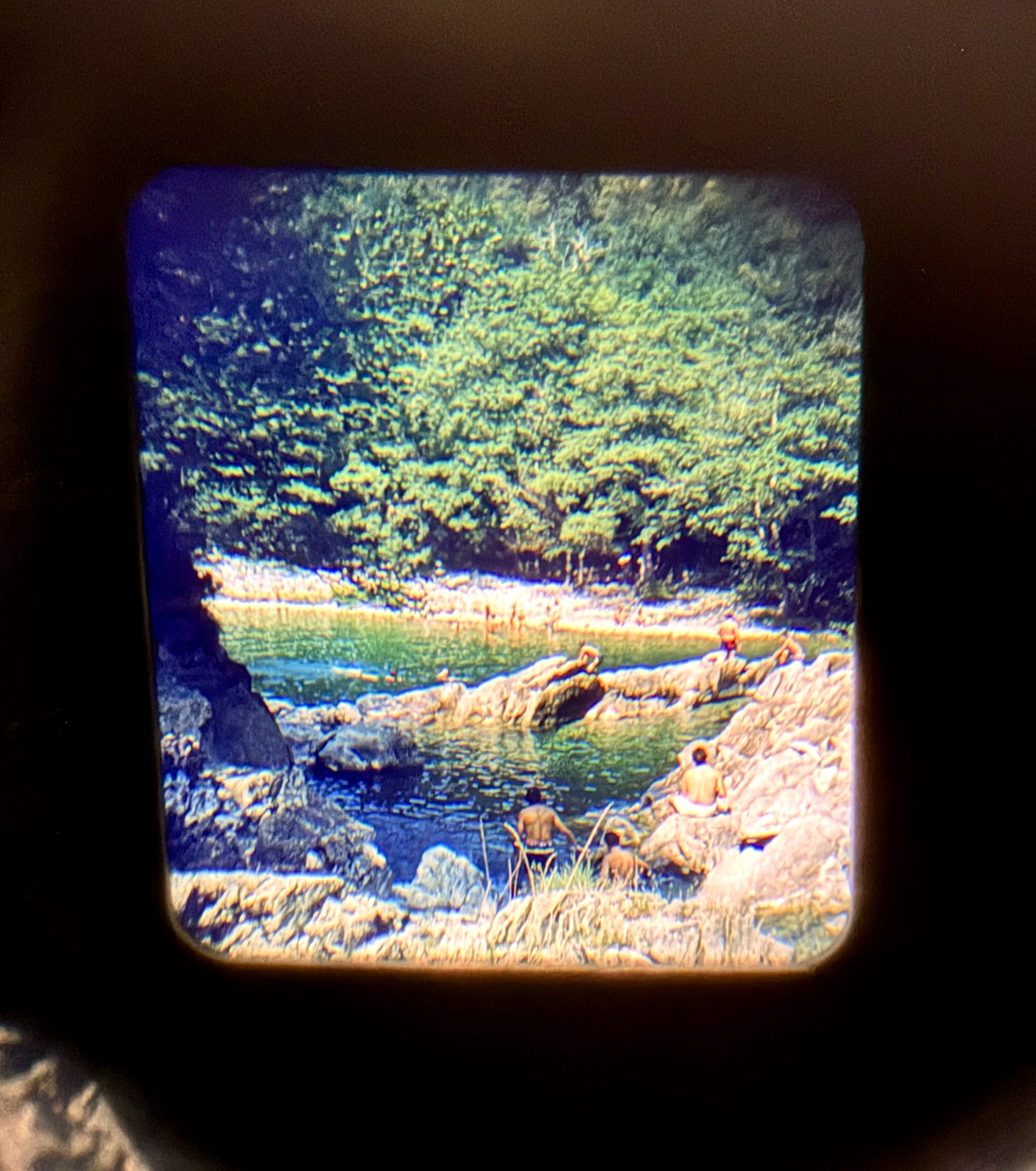 STEREOSCOPIO RADEX P/ 35 MM. vista 4
