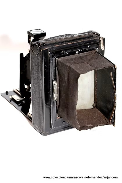 GALLUS, FOLDING PLATE vista 3