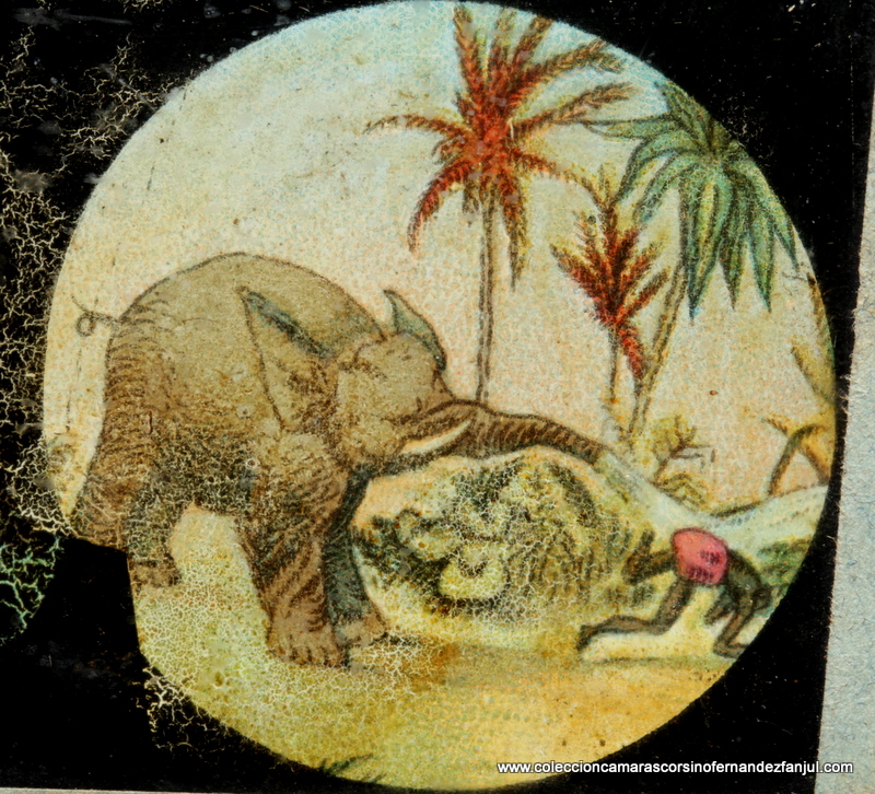 4 TIRAS DIAPOSITIVAS LINTERNA MAGICA, (LA VENGANZA DEL ELEFANTE) vista 2