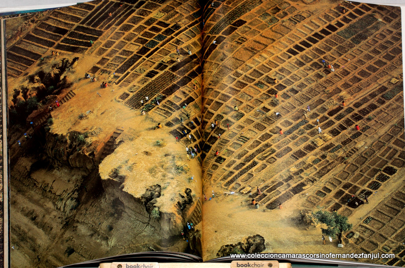 Libro: LA TIERRA VISTA DESDE EL CIELO vista 3