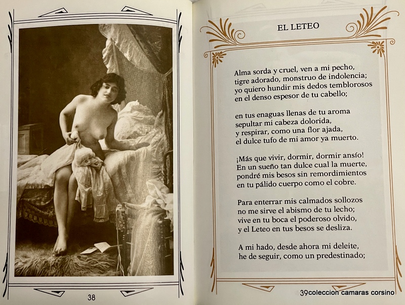 DESNUDOS EROTICOS DEL PASADO (XIX). vista 2
