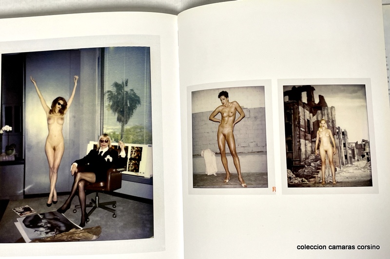 POLAROIDS, HELMUT NEWTON. vista 2