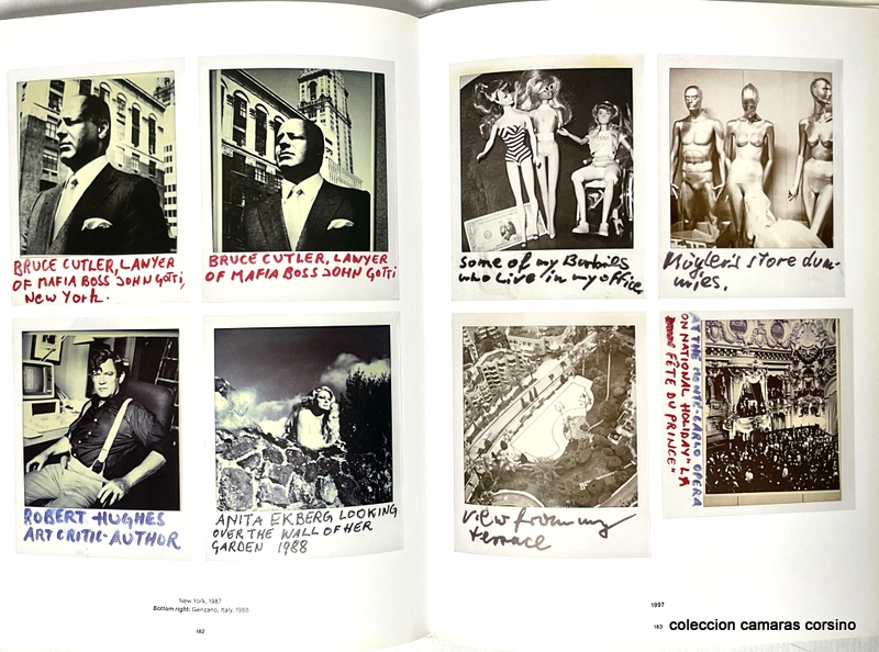 POLAROIDS, HELMUT NEWTON. vista 4