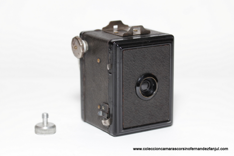 GAP, BOX, FOTOBABY