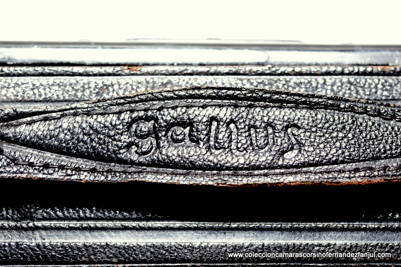 GALLUS, FOLDING PLATE vista 2