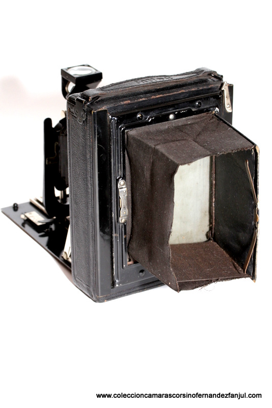 GALLUS, FOLDING PLATE vista 3