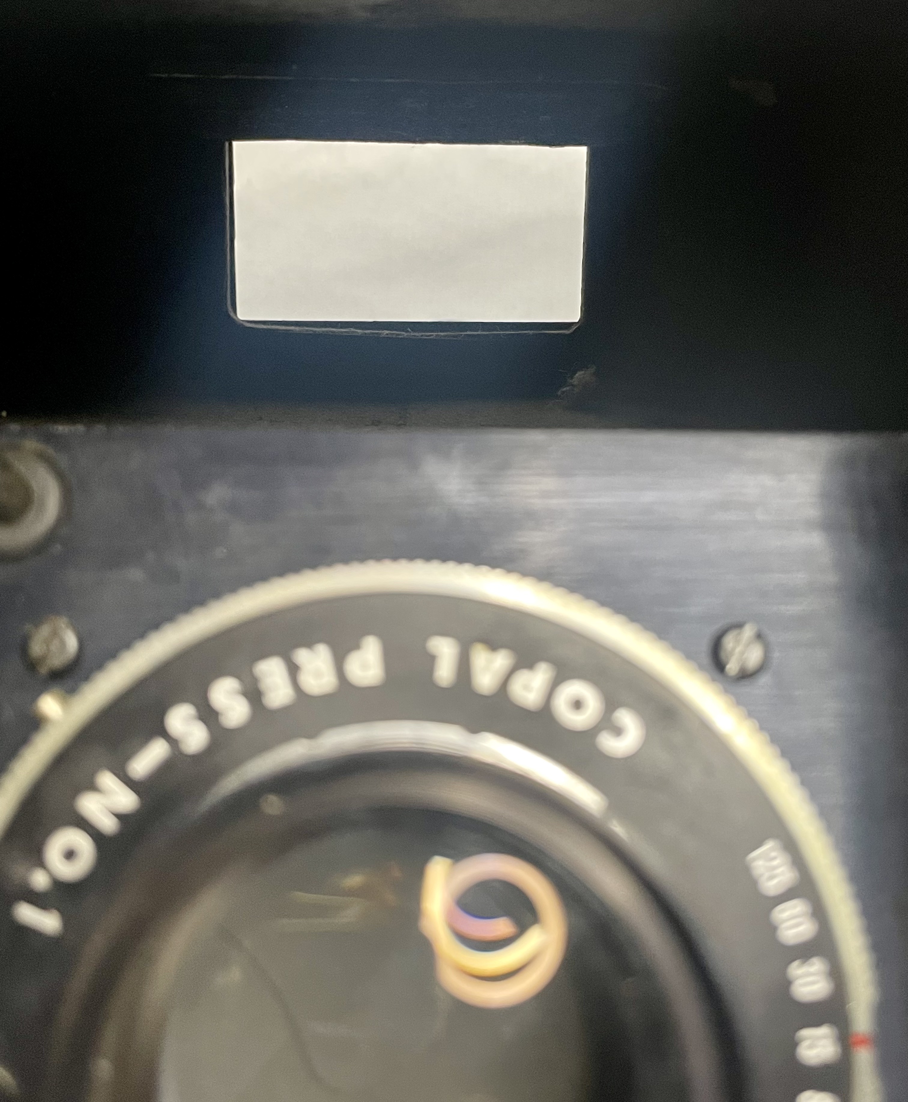 POLAROID, SKI (DE CLINICA). vista 5
