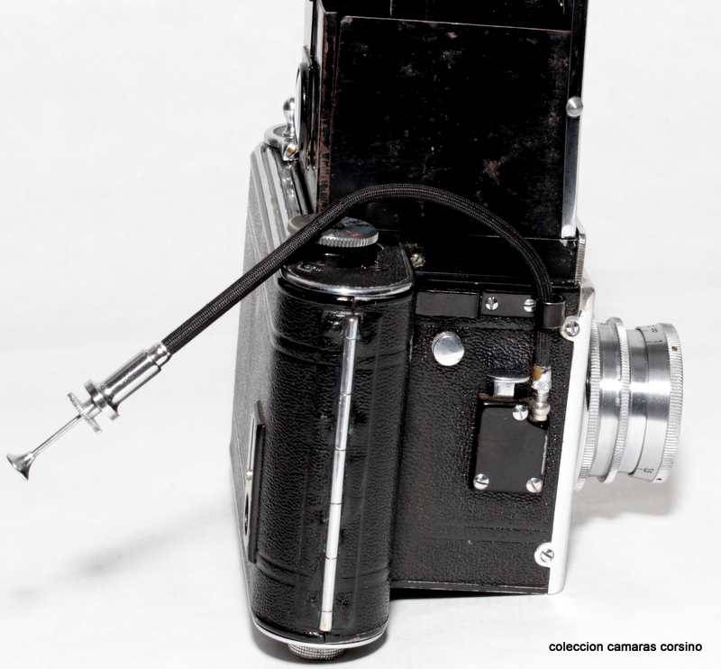 REFLEX KORELLE vista 6