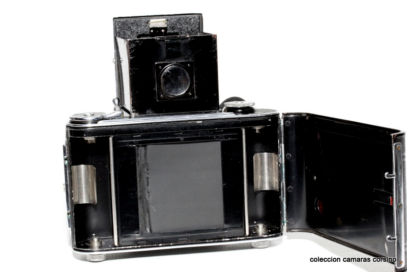 REFLEX KORELLE vista 7
