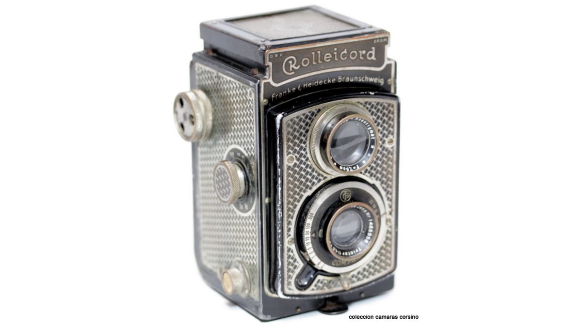 TLR